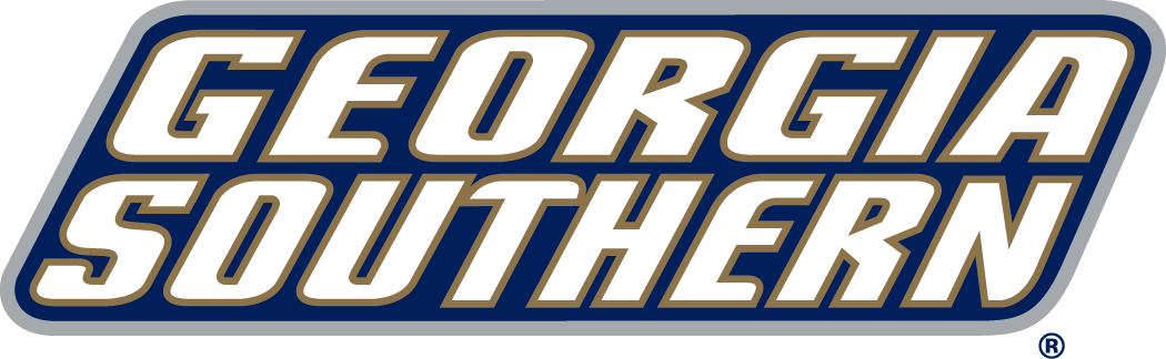 Georgia Southern Eagles 2004-Pres Wordmark Logo v4 diy DTF decal sticker